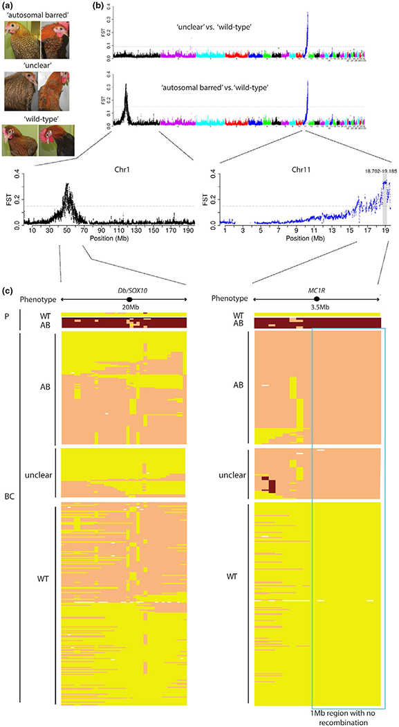 FIGURE 2