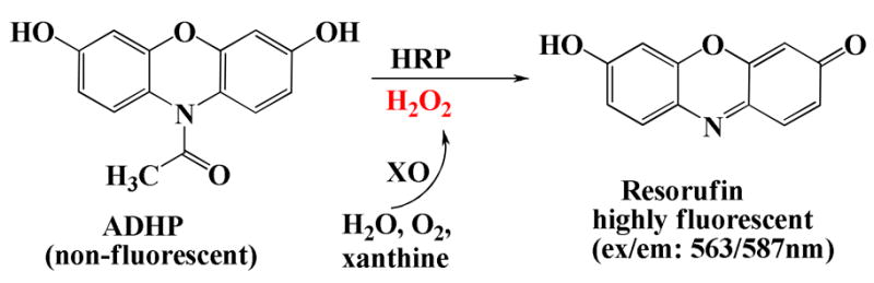 Fig. 11