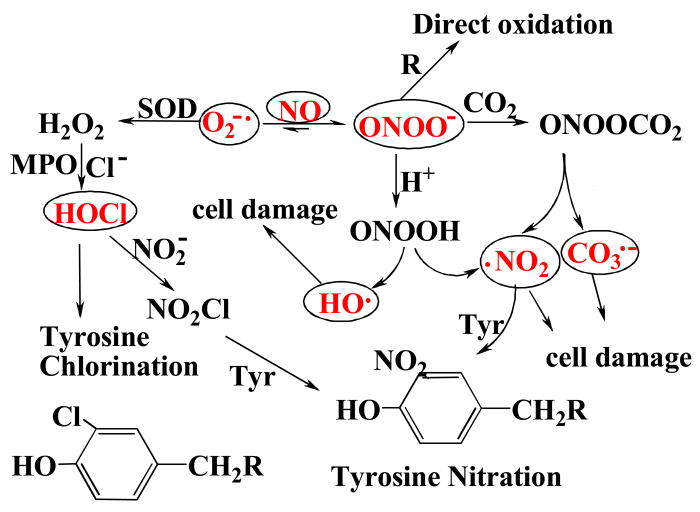 Fig. 13