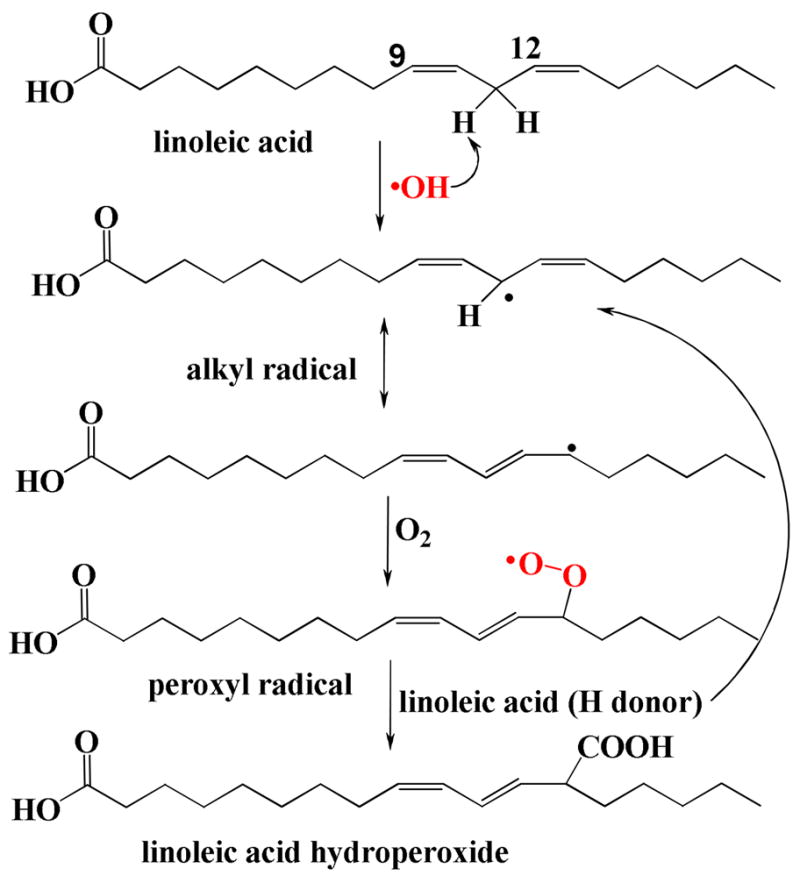 Fig. 12