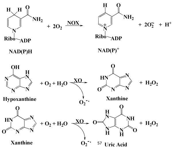 Fig. 10