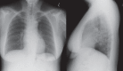 Figure 1)