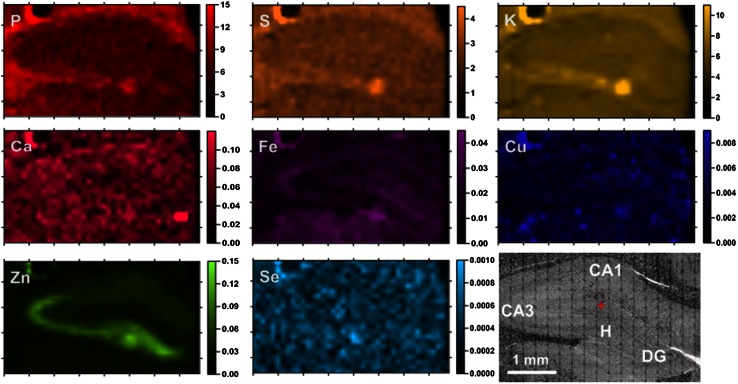 Fig. 2