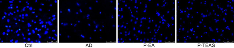 Fig 9: