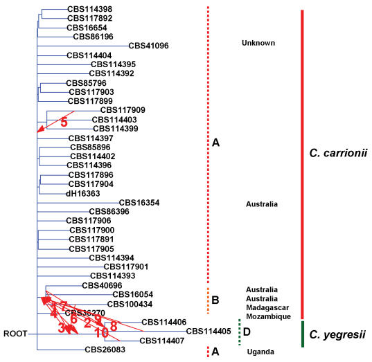 Fig. 4.