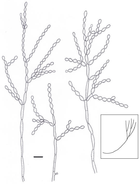 Fig. 6.