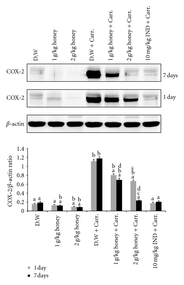 Figure 9