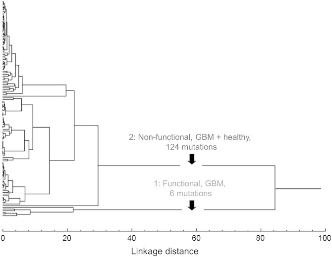 Fig. 4.