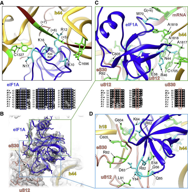 Figure 4