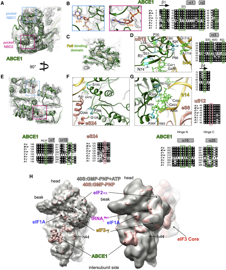 Figure 6