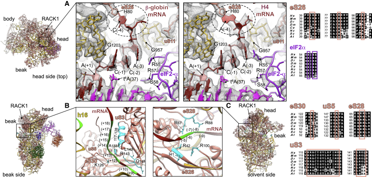 Figure 3