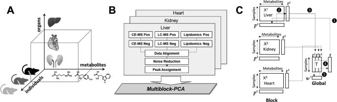 Fig. 2