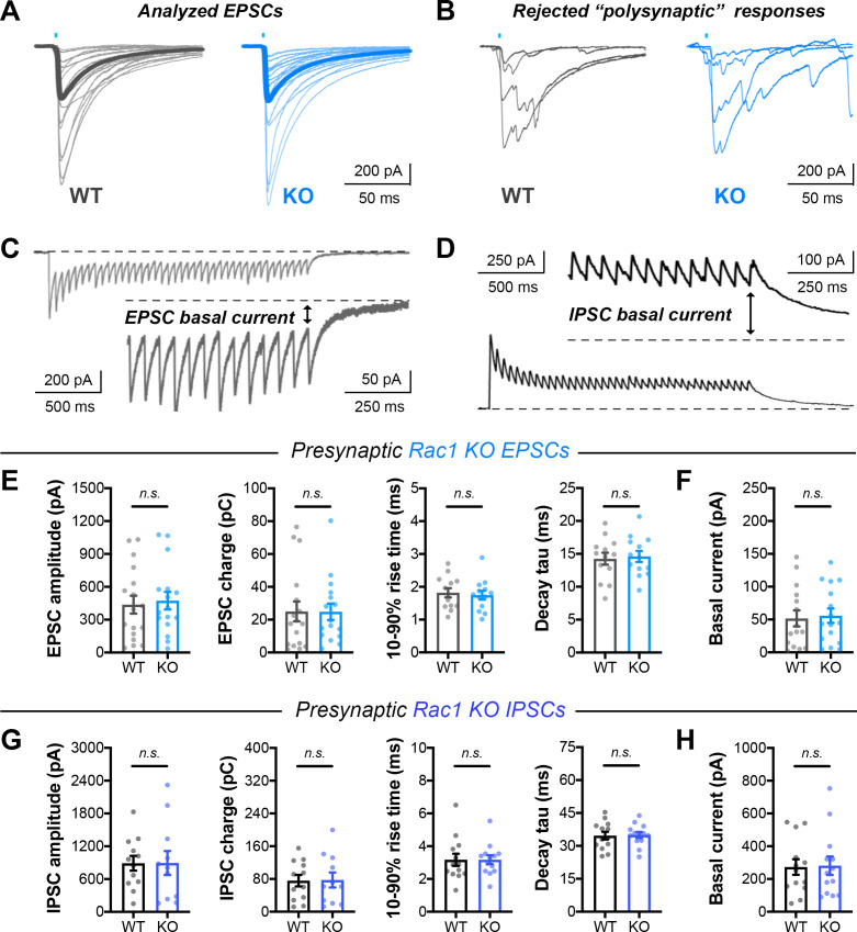 Figure 4—figure supplement 2.