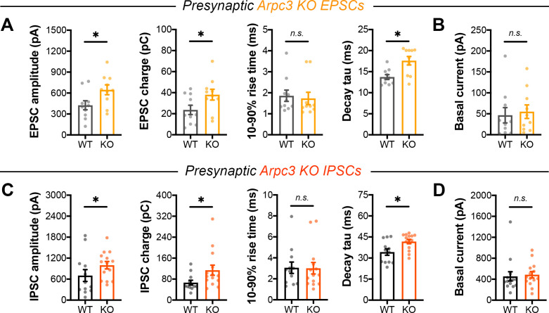 Figure 5—figure supplement 1.