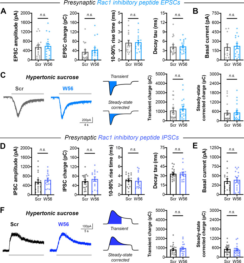 Figure 6—figure supplement 1.