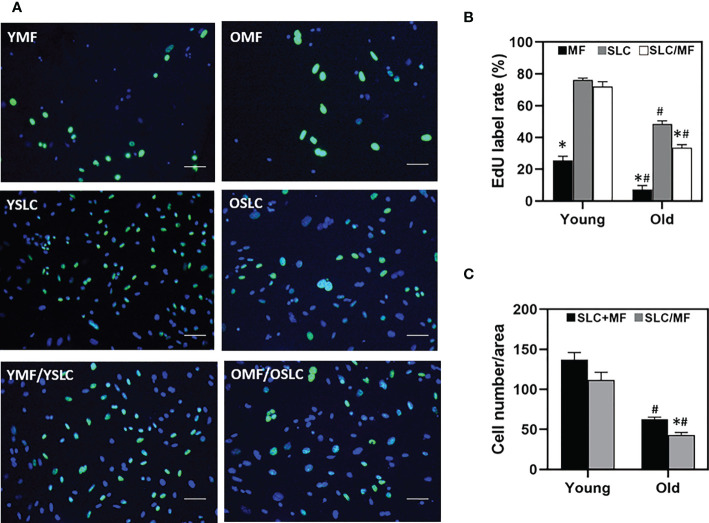 Figure 6