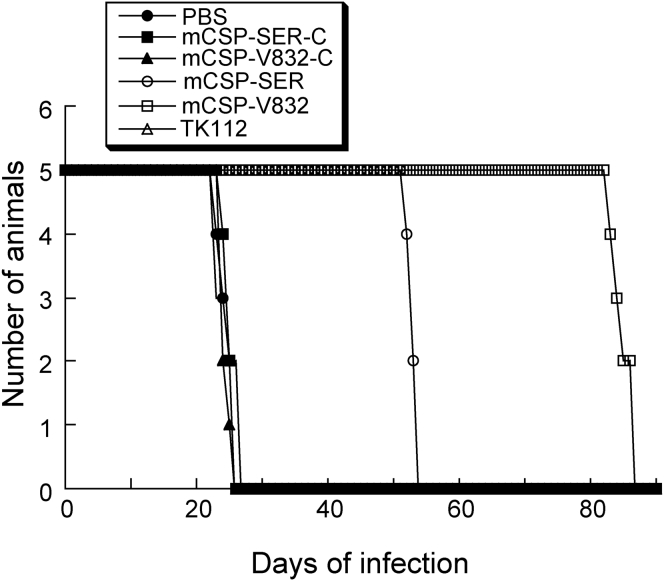 Figure 5