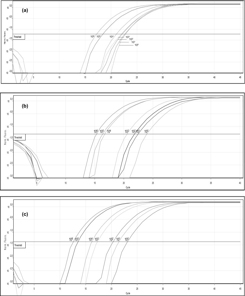 Fig. 5