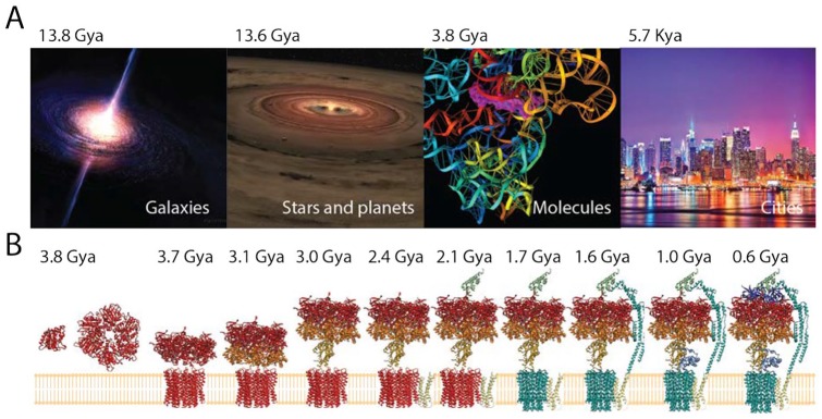 Figure 1.