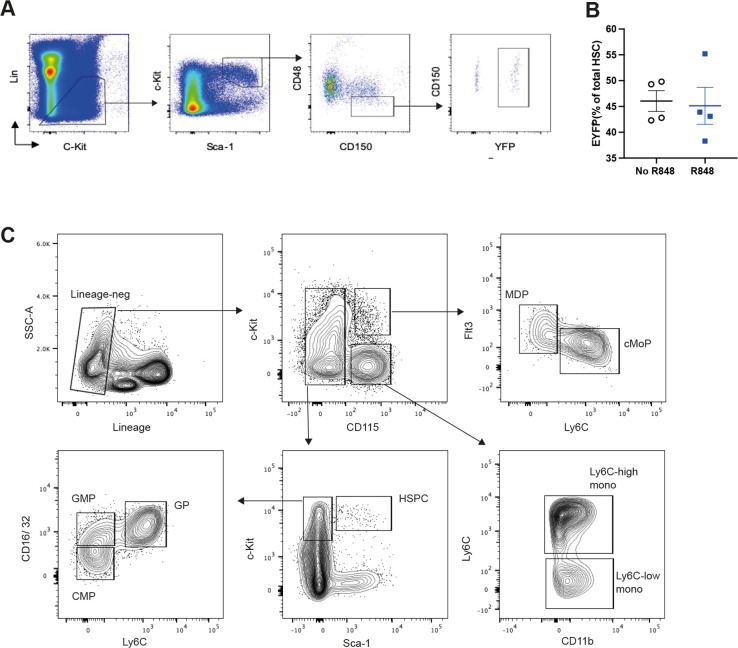 Figure 4—figure supplement 1.