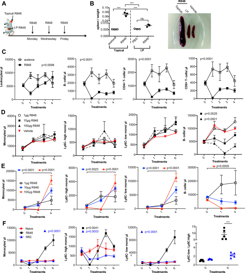 Figure 1—figure supplement 1.