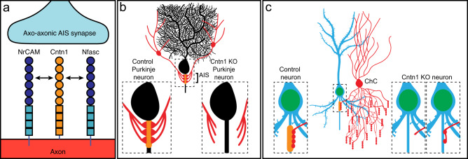 Fig. 10