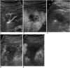 Fig. 9