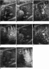 Fig. 10