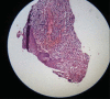 Figure 4a