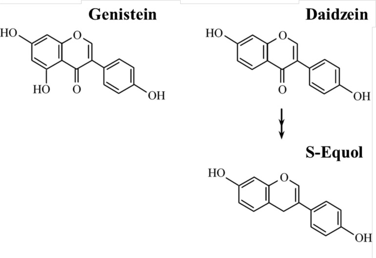 Fig. (1)