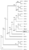 FIG. 6