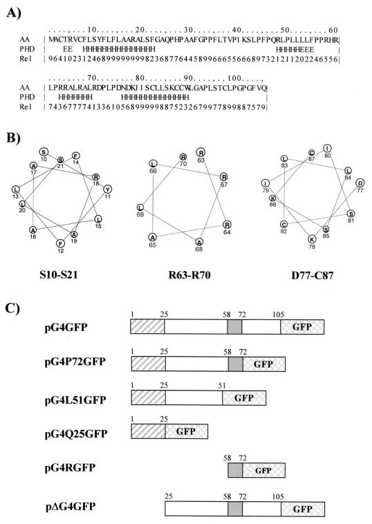 FIG. 5.