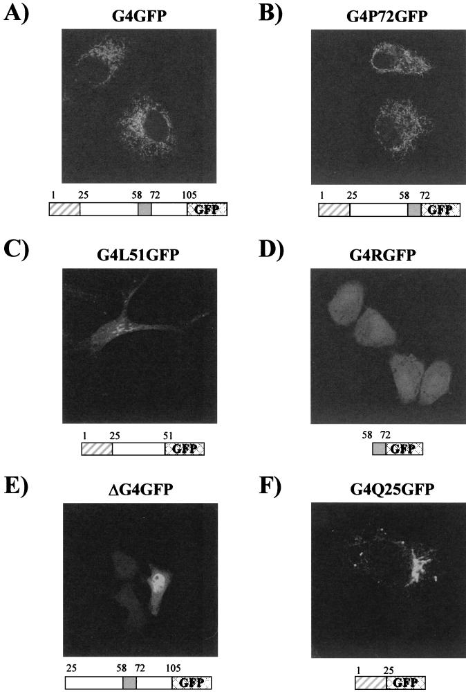 FIG. 7.