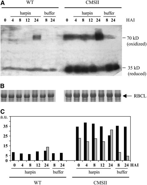 Figure 9.