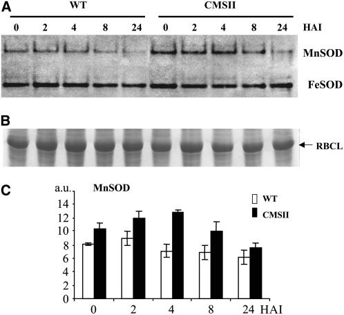 Figure 10.