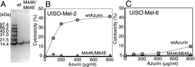 Fig 2.