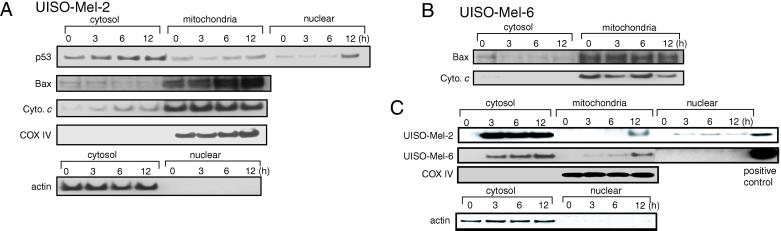 Fig 3.