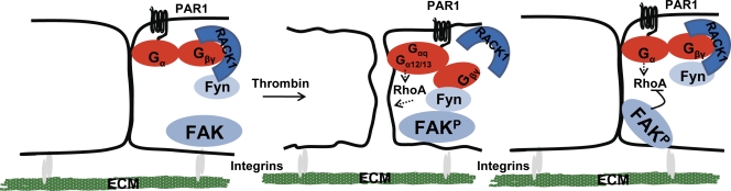 Figure 10.