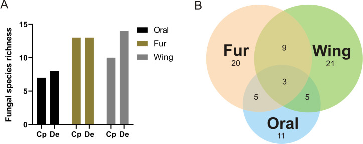 Fig 7