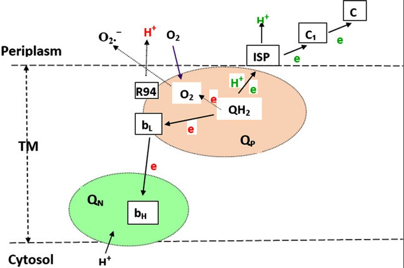 FIGURE 8.