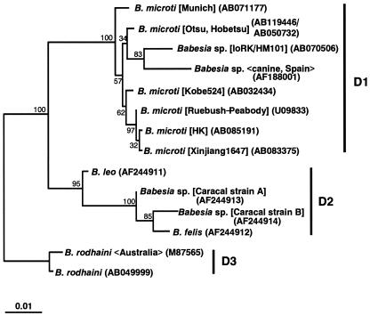 FIG. 1.