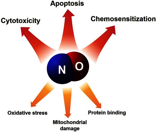 Fig. 2