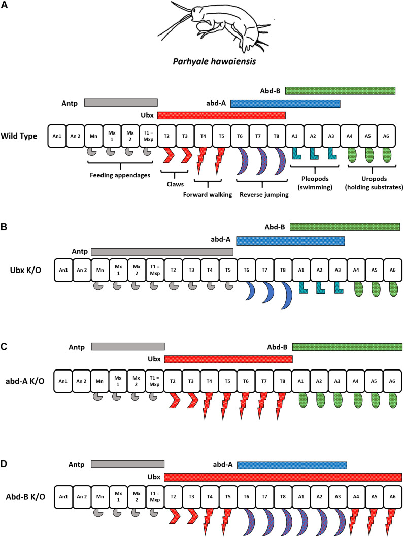 FIGURE 6