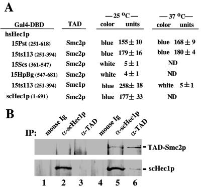 FIG. 6