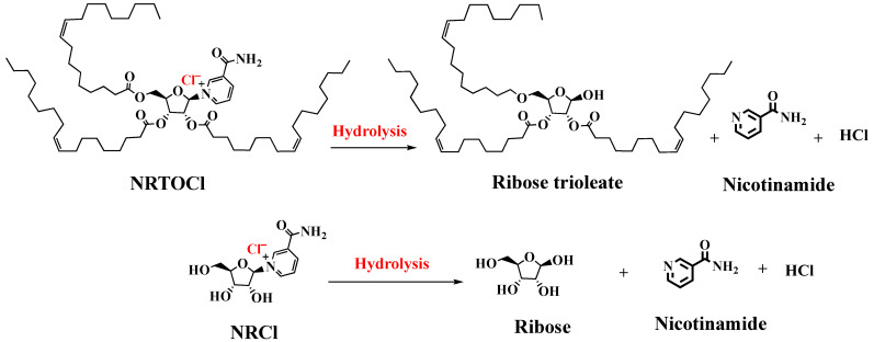 Scheme 3