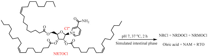 Scheme 5