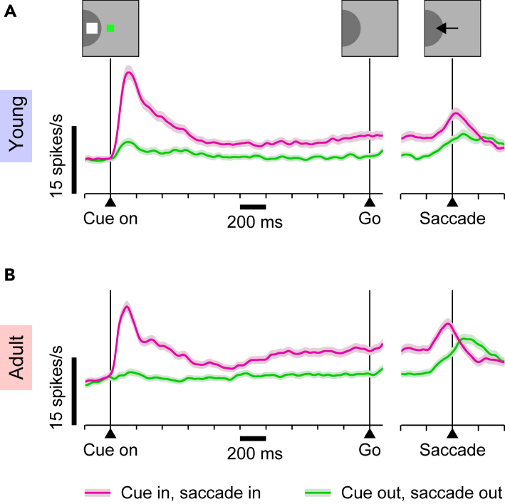 Figure 5