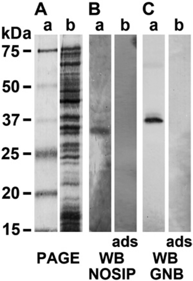 Figure 7.