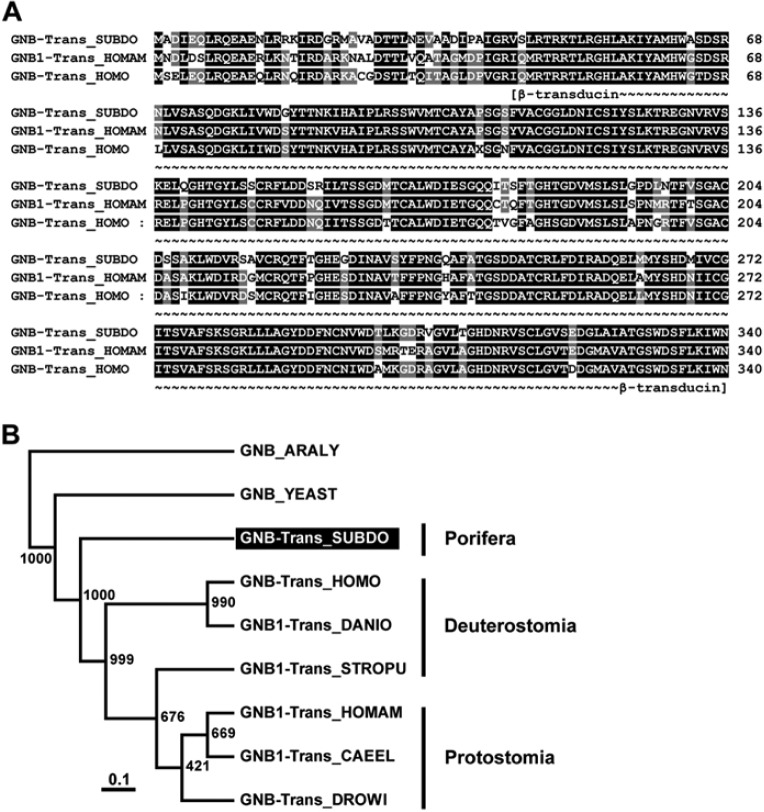 Figure 6.