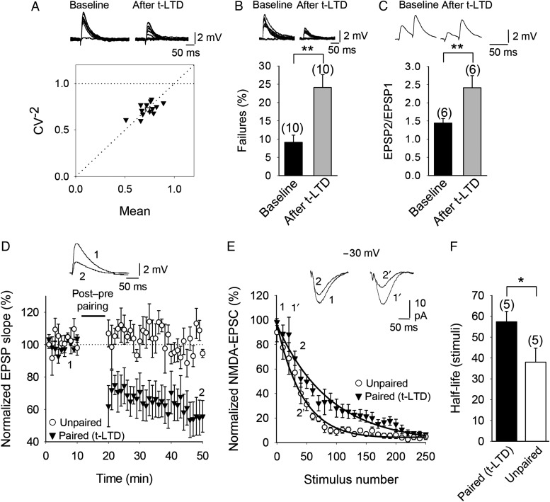 Figure 11.